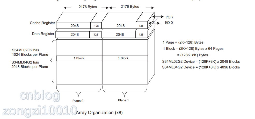 image-20201224100611655