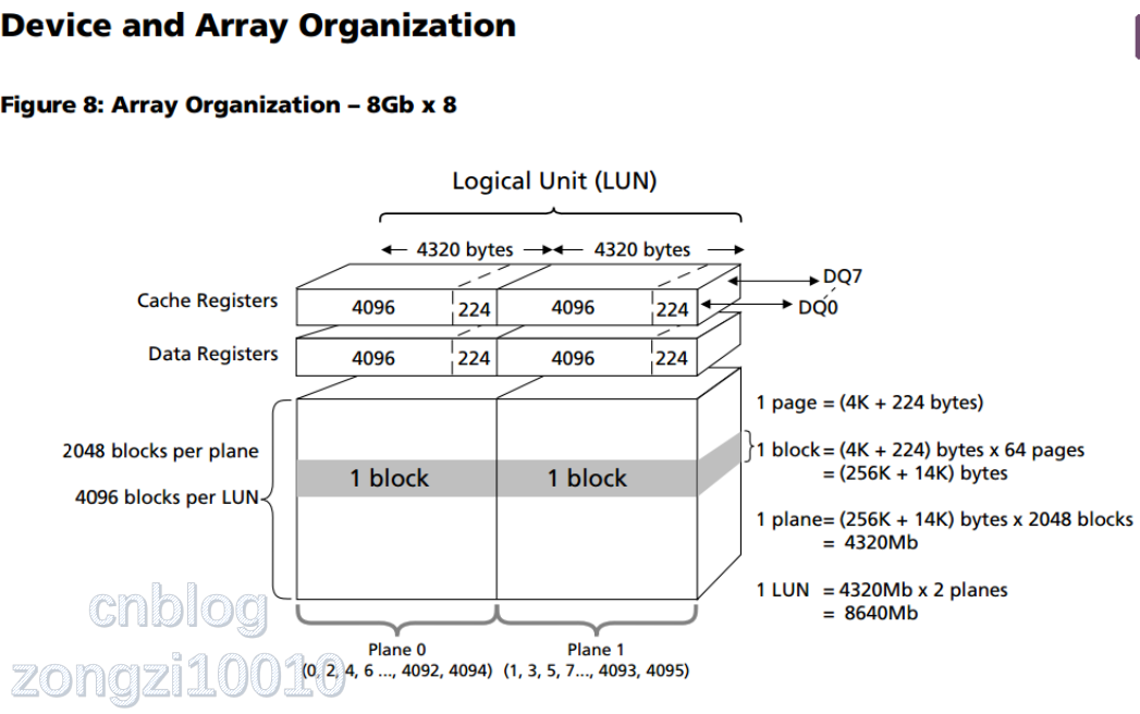 image-20201224100712324